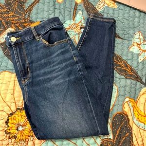 American Eagle Curvy Hi-Rise Jegging Size 14 Short
